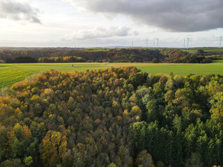View from above of a landscape with forest in autumn