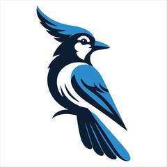 Blue Jay bird vector art illustration