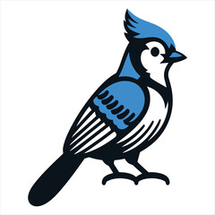 Blue Jay bird vector art illustration