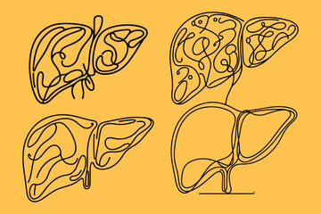 one line drawing of a spleen. Spleen outline vector illustration.