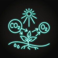Photosynthesis process neon line icon. Conversion of carbon dioxide to oxygen. Vector illustration.