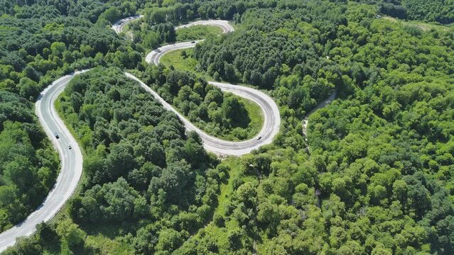 Aerial view of winding asphalt mountain road among green trees in summer.