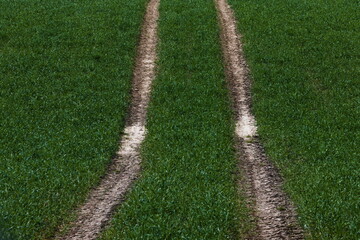 field pathway