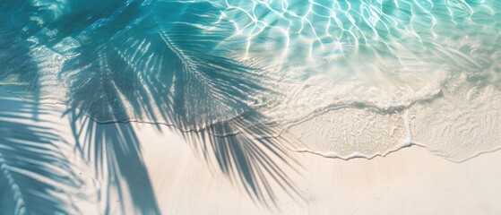 Palm Tree Shadows On Beach Sand. Sunlit shadows of palm trees casting on white sandy beach next to clear turquoise water, evoking a tropical paradise.