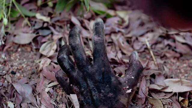 Halloween dirty zombie hand crawls out of the ground
