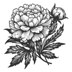 blooming peony flower with leaves, showcasing botanical elegance and beauty sketch engraving generative ai vector illustration. Scratch board imitation. Black and white image.
