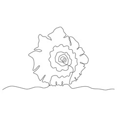 Continuous one line drawing of sea shell isolated element. Vector outline summer beach illustration. Black and white vacation concept, minimal line art. Underwater natural coral, linear poster