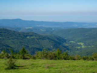 Fototapeta premium Green natural meadow with grass and mountains in the background