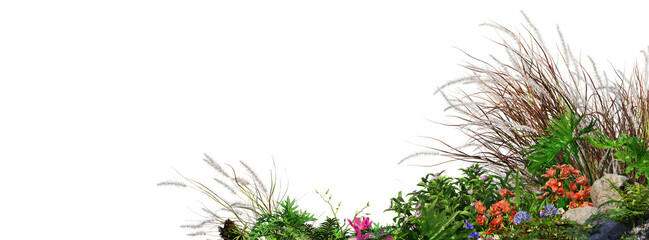 3D Render Foreground Flowers and Plants on Transparent Background