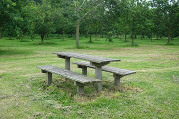 Wooden grey table for picnic in green park