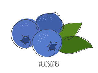 Continuous line drawn blueberry with leaves. Branch of fresh ripe sweet berry. Abstract textured natural fruit. Healthy organic vitamin food ingredient. Summer illustration