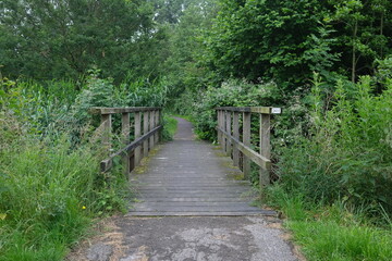 Obraz premium Symmetry of wooden bridge in public green park 