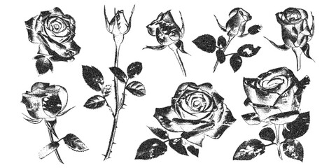 Rose flowers with vintage stipple effect, y2k coquette collage design. Monochrome photocopy retro design rosebud elements. Vector illustration for romantic grunge gothic surreal poster
