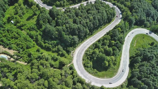 Aerial view of winding asphalt mountain road among green trees in summer.