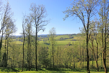 Obraz premium Countryside from Chateau-Chalon, France