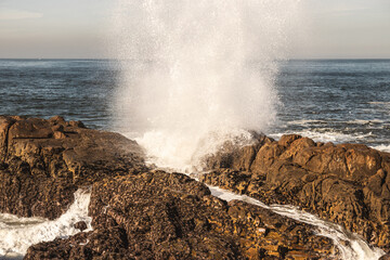 ocean waves by the beach