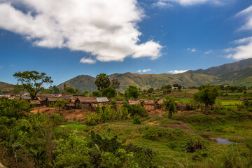 Typical Madagascar landscape - green and yellow rice terrace fields on small hills in region near...