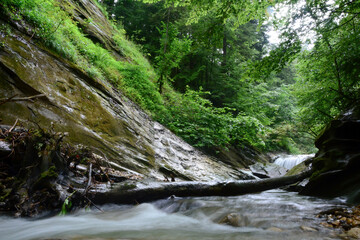 A small waterfall in the forest on a river between green trees. Natural summer background