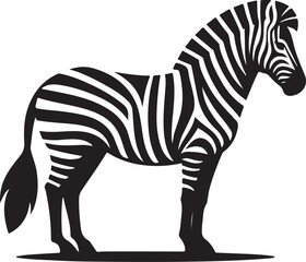 Zebra Vector illustration