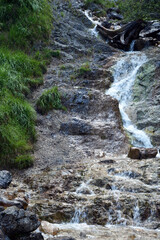 A small waterfall in the forest on a river between green trees. Natural summer background