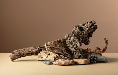 Abstract nature scene with a composition of stones and dry snags.