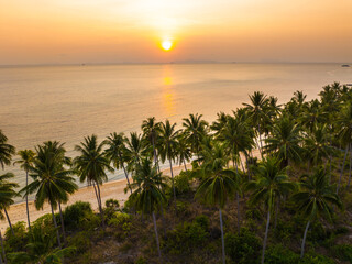Tropical Beach. Sandy beach with palm and turquoise sea. Summer vacation and tropical beach concept.