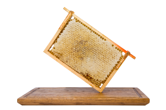 Honey with honeycombs in a wooden frame isolated on white. - Powered by Adobe