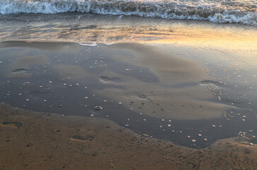 seashore sand on the beach at sunset
