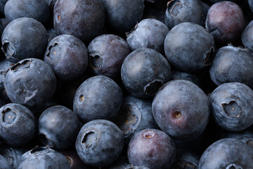 Closeup of Blueberries