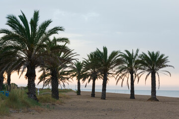 beautiful photographs of seascapes and beaches