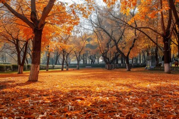 Fototapeta premium Autumn Park Pathway with Vibrant Leaves