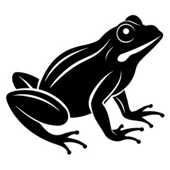 Stunning Black Frog Silhouette Vector Illustration on White Background