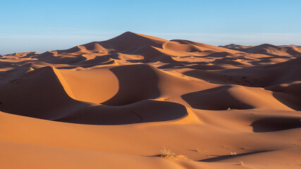 Sahara desert
