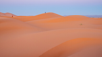 Naklejka premium Sahara desert