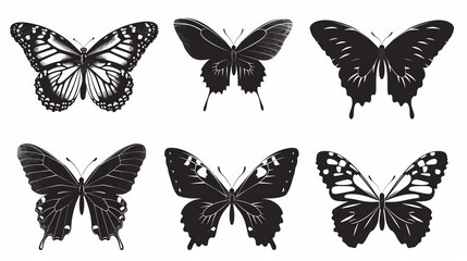 Beautiful colorful butterfly isolated over white background