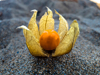 different and beautiful creative, original and unique photographs