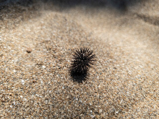 different and beautiful creative, original and unique photographs