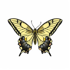 Fototapeta premium Artistic illustration of beautiful butterfly