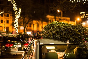 Christmas tree strapped to the roof of a car for the season
