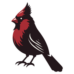 Cardinal bird vector art illustration