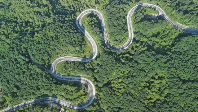 Aerial view of winding asphalt mountain road among green trees in summer.