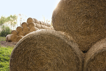 Many hay bales outdoors on sunny day, closeup