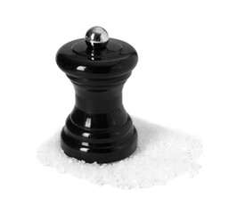 One shaker with salt isolated on white