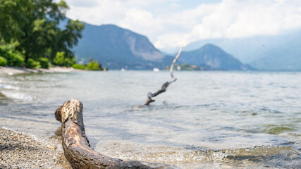 Fototapeta premium Parco P - Lago Maggiore (2024-05)