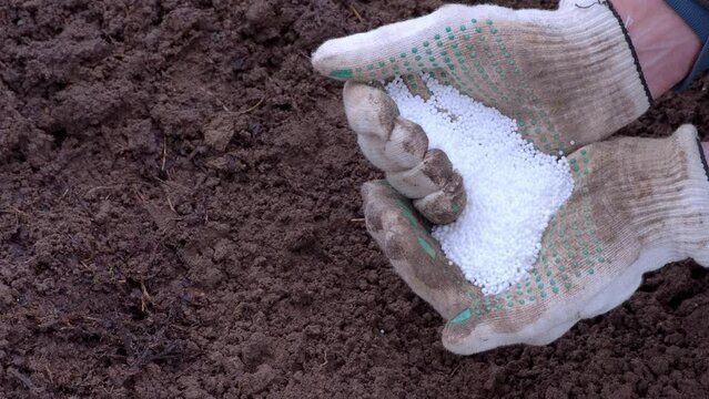 Potassium nitrogen fertilizers in hands of farmer. Top view for control soil quality before seed plant. Smart farming, using modern technologies in agriculture. Future agriculture concept.