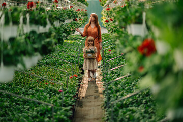 Mother and daughter florists at hothouse with basket of booming flowers