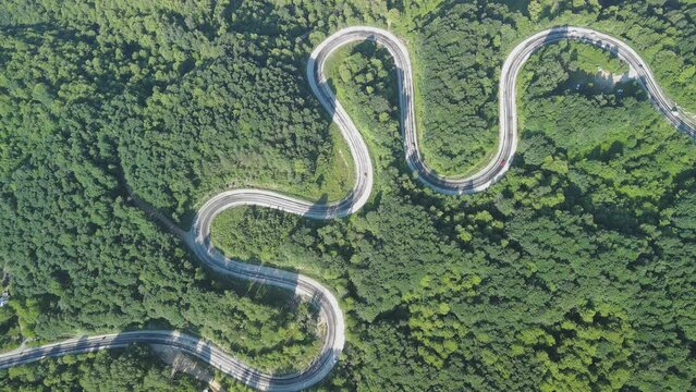 Aerial view of winding asphalt mountain road among green trees in summer.