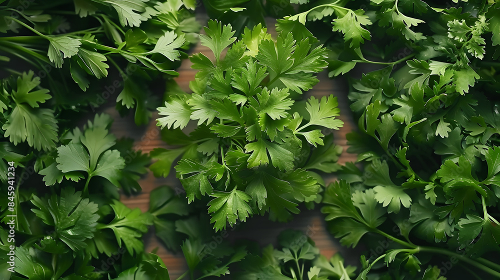 Wall mural fresh green vitamin parsley leaves. herbs and spices. top view flat lay - Wall murals