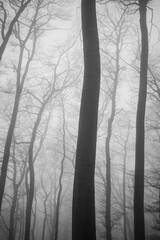 Fototapeta premium the wooden door of old church