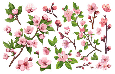 Cherry blossom flower set. Leaves. Bloom. Green tree branch with flowers. Petals buds twigs. Pink sakura. Vector collection of isolated nature elements